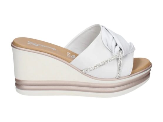 1325 Susimoda
